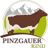 Pinzgauer Rind